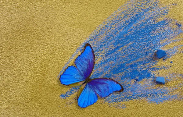 Fond Bleu Papillon Morpho Bleu Coloré Crayons Pastels Bleus Sur — Photo