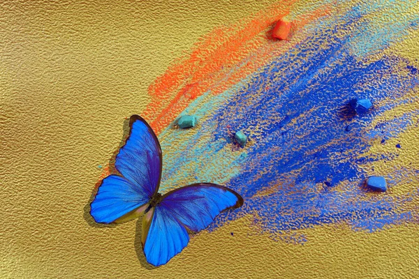 Ouro Fundo Azul Borboleta Morpho Azul Colorido Pastéis Azuis Vermelhos — Fotografia de Stock