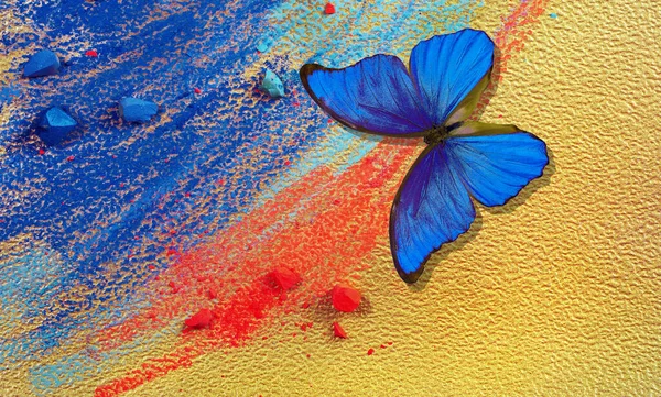 Золотий Синій Фон Барвистий Синій Морфо Метелик Синьо Червоні Пастельні — стокове фото