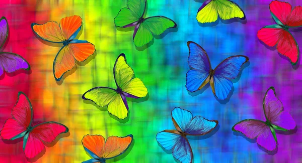 Szivárvány Színei Többszínű Morfo Pillangók Mintája — Stock Fotó