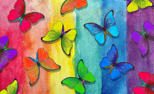 Colors of rainbow. Pattern of multicolored morpho butterflies. Abstract colorful pattern. Multicolored watercolor stains.