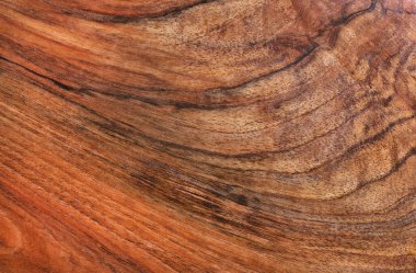 Kayısı ağacı dokusu arka planı. soyut doğal ahşap desen