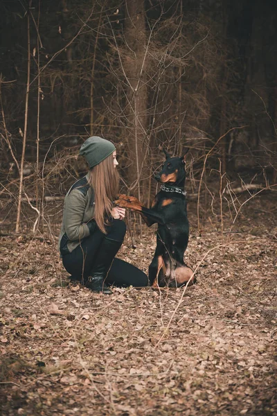 若いです女の子遊びますとともにDoberman犬でザ森 — ストック写真