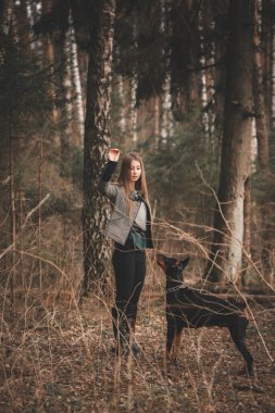 Genç kız ormanda doberman köpeğiyle oynuyor.