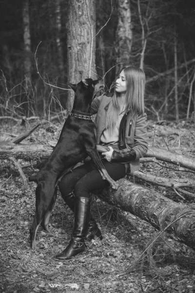 Młoda Dziewczyna Bawi Się Dobermanem Lesie — Zdjęcie stockowe