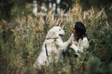   Brunette girl with white golden retriever dog in the field