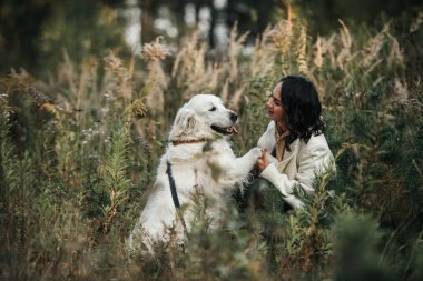   Brunette girl with white golden retriever dog in the field
