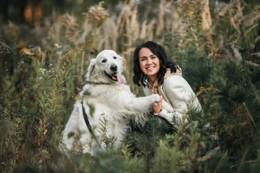   Brunette girl with white golden retriever dog in the field