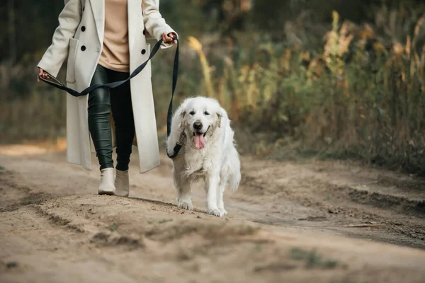 Chica Con Perro Golden Retriever Caminando Por Sendero Del Bosque — Foto de Stock