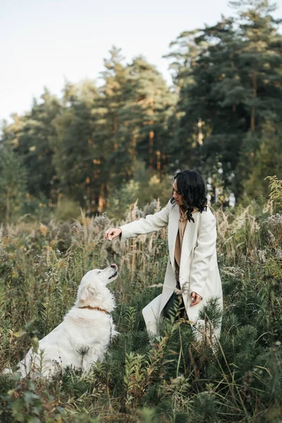 Flicka Leker Med Golden Retriever Hund Fältet — Stockfoto