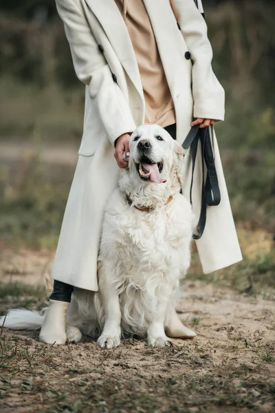 Mädchen Mit Weißem Golden Retriever Hund Auf Waldweg — Stockfoto