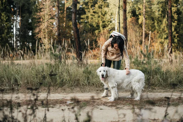 Dziewczyna Białym Psem Golden Retriever Ścieżce Leśnej — Zdjęcie stockowe