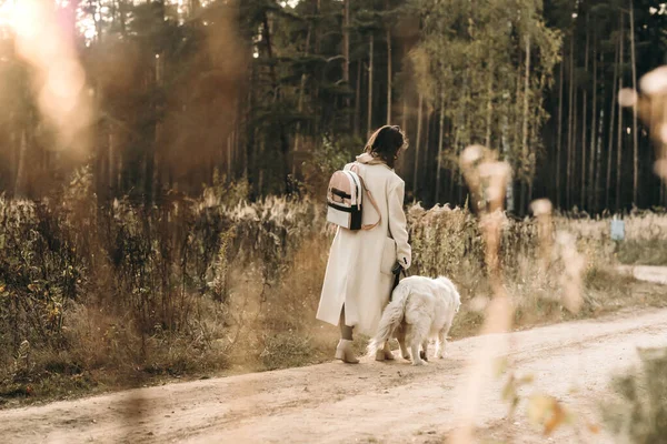 Flicka Med Golden Retriever Går Skogsstigen — Stockfoto