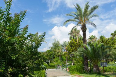 Park Kemer, Türkiye'de köprü ve palmiye ağaçları ile