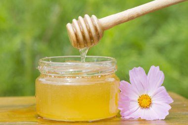 Bal kavanozu, sopa ve doğal yeşil arka plana karşı ahşap masa çiçek