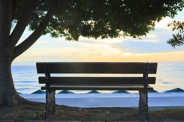 Lege Bench Met Een Boom Achtergrond Van Zee Bij Zonsopgang — Stockfoto