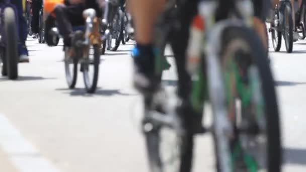 Gran Grupo Ciclistas Conduce Por Carretera — Vídeo de stock