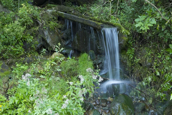 Mountain Clear Water Flows Stones Carpathians Verkhovyna — Stock Photo, Image