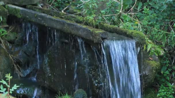 Berg Helder Water Stroomt Stenen Verchovina Karpaten — Stockvideo