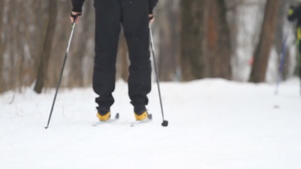 Man Cross Country Skiing Winter Park — Stock Video