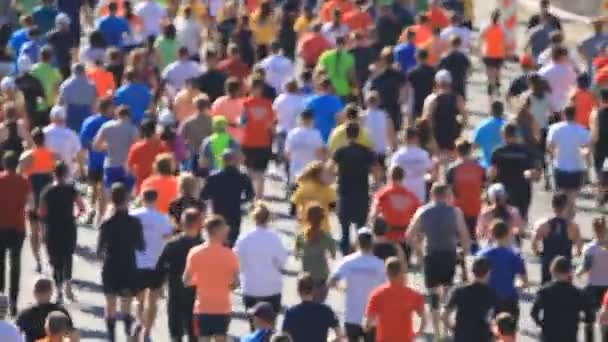 City Marathon Running People Blurred — Stock Video
