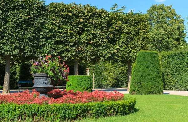 Vienna Oostenrijk Juli 2017 Mooie Bloementuin Schönbrunn Paleis Wenen Oostenrijk — Stockfoto