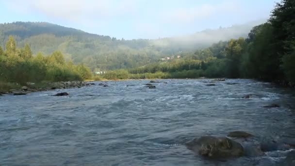 Mountain Carpathian River Nel Villaggio Verkhovyna — Video Stock