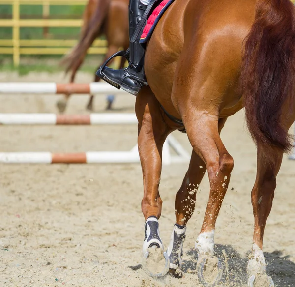 Jockey Riding Boot Stijgbeugel — Stockfoto