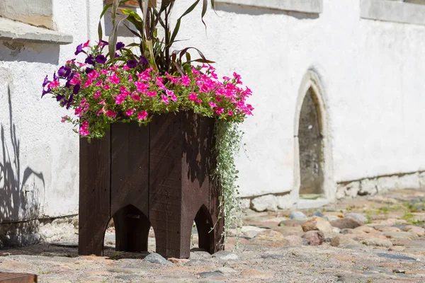 Wooden flower pot with flowers in city of Tallinn — Stock Photo, Image