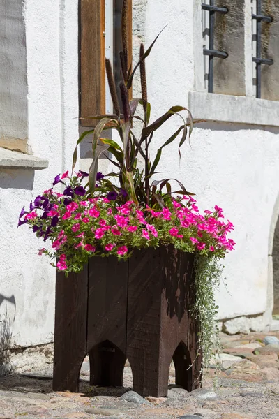 Flower pot with flowers in the old city of Tallinn — Stock Photo, Image