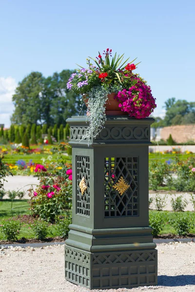 Krásné květiny v zahradě paláce Rundale v Lotyšsku. — Stock fotografie