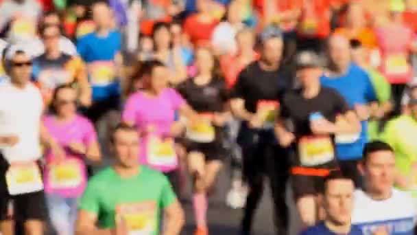 Grupo Atletas Maratón Corriendo Calle — Vídeo de stock