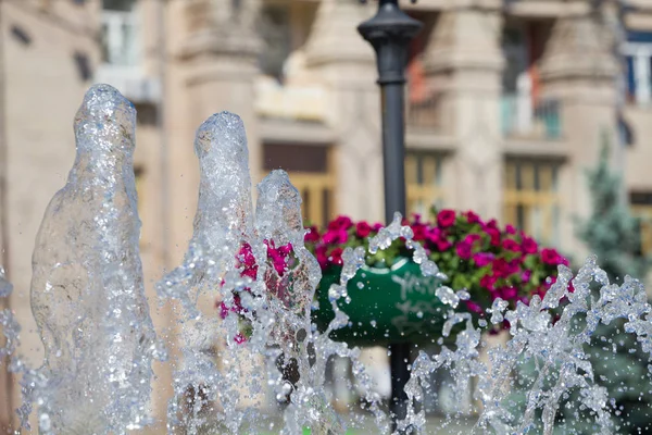 Fountain spray and flower pot in the city center of Kyiv — Stock Photo, Image