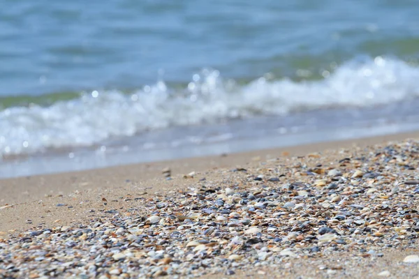 Areia e conchas no mar — Fotografia de Stock