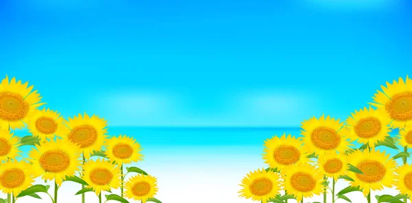 Sunflower Summer Scenery Background — Stock Vector