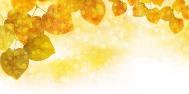 Sonbahar yaprakları akçaağaç sonbahar arkaplanı