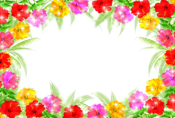 Hibiscus Palm Frame Background — Stock Vector