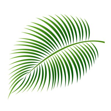Palmiye yaprak yaz simgesi