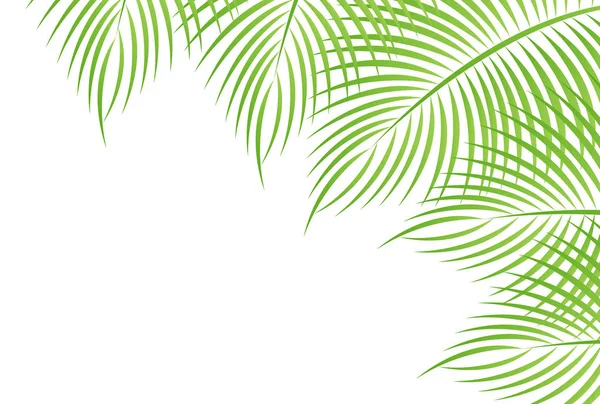 Palme Sommer Landschaft Hintergrund — Stockvektor