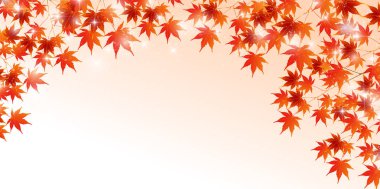 Sonbahar Japon kağıt arka plan sonbahar yaprakları