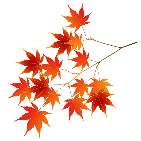 Podzimní Listí Podzimní Listí Ikonu — Stockový vektor