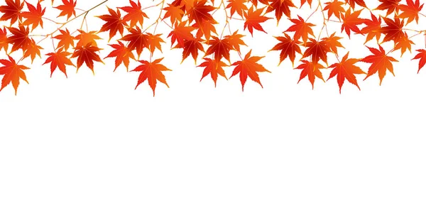 Otoño Hojas Otoño Hojas Fondo — Vector de stock