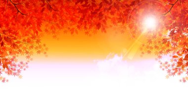 Sonbahar yaprakları akçaağaç sonbahar arkaplanı