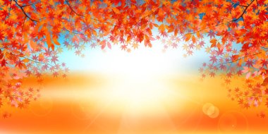 Sonbahar yaprakları akçaağaç sonbahar arkaplanı