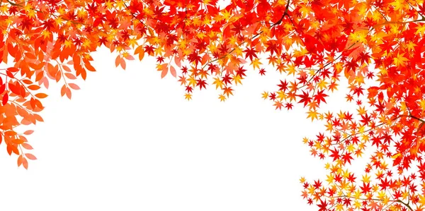 Daun Musim Gugur Latar Belakang Maple Musim Gugur - Stok Vektor