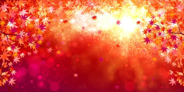 Sonbahar, sonbahar arkaplanından ayrılıyor