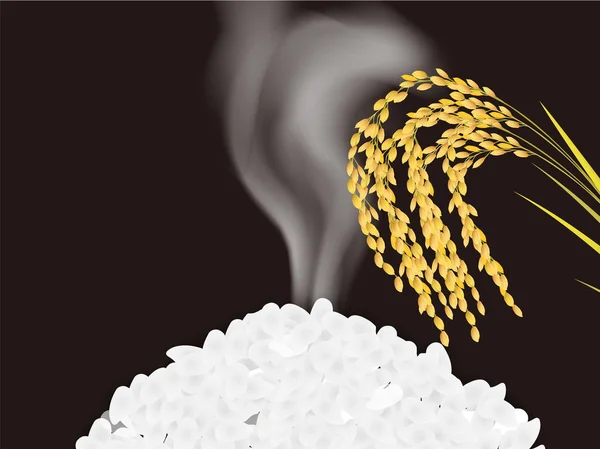 Rijst Graan Rijst Achtergrond — Stockvector