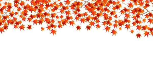 Herfst Bladeren Herfst Achtergrond — Stockvector