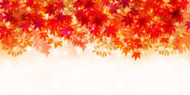 Sonbahar, sonbahar arkaplanından ayrılıyor