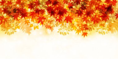 Sonbahar, sonbahar arkaplanından ayrılıyor